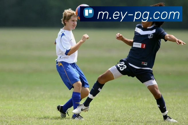 pg模拟器APP 封面图